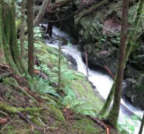 Patricia Creek Hydro Power Development