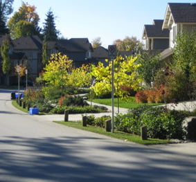 Silver Maples Subdivision Rain Garden & Retention Facilities