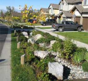 Stormwater Rain Gardens 102 – Top 10 Implementation and Maintenance Considerations