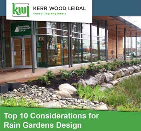 Top Ten Design Considerations for Rain Gardens