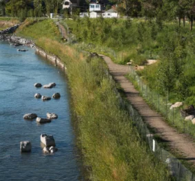 Bow River Bioengineering Demonstration and Education Project (BDEP)