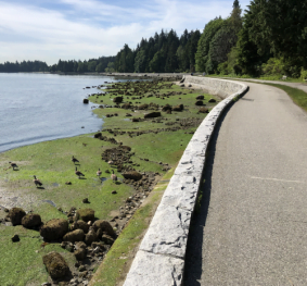 Stanley Park and English Bay Seawall Repairs